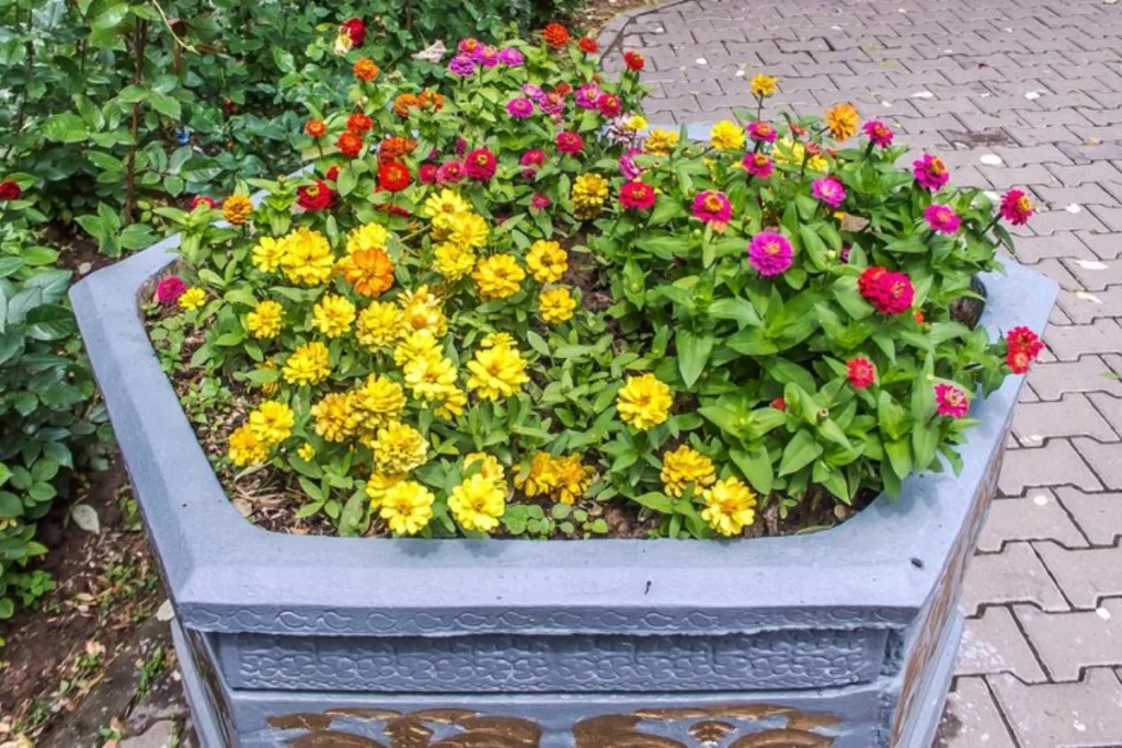como fazer canteiro de flores