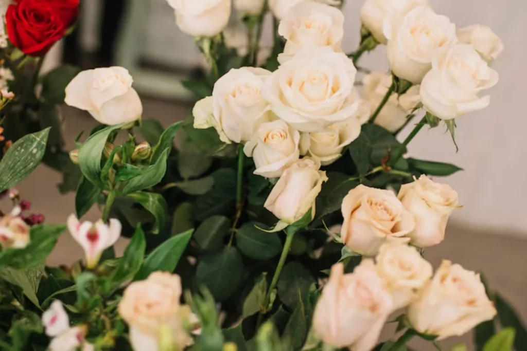 flores lisianthus de corte