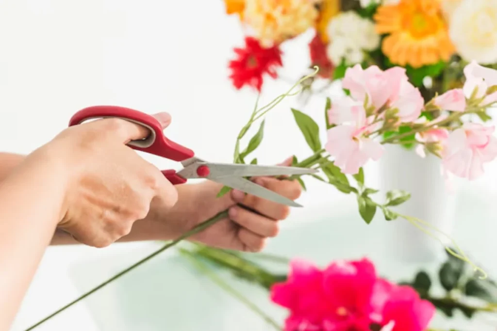 pessoa cortando uma flor