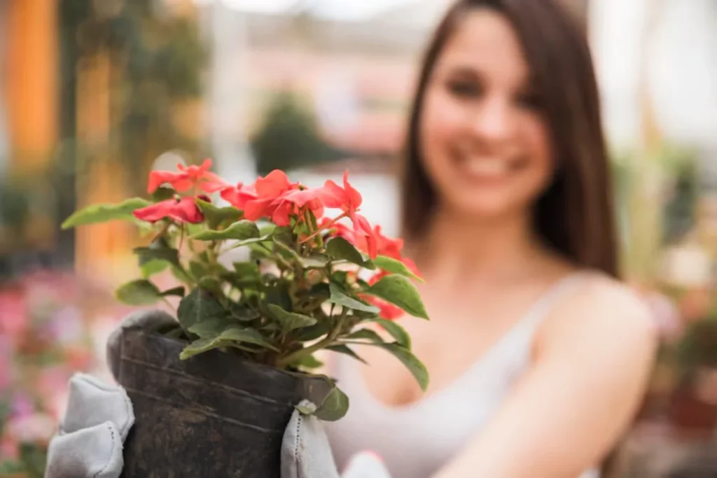 Pessoa segurando um vaso com flores vermelhas