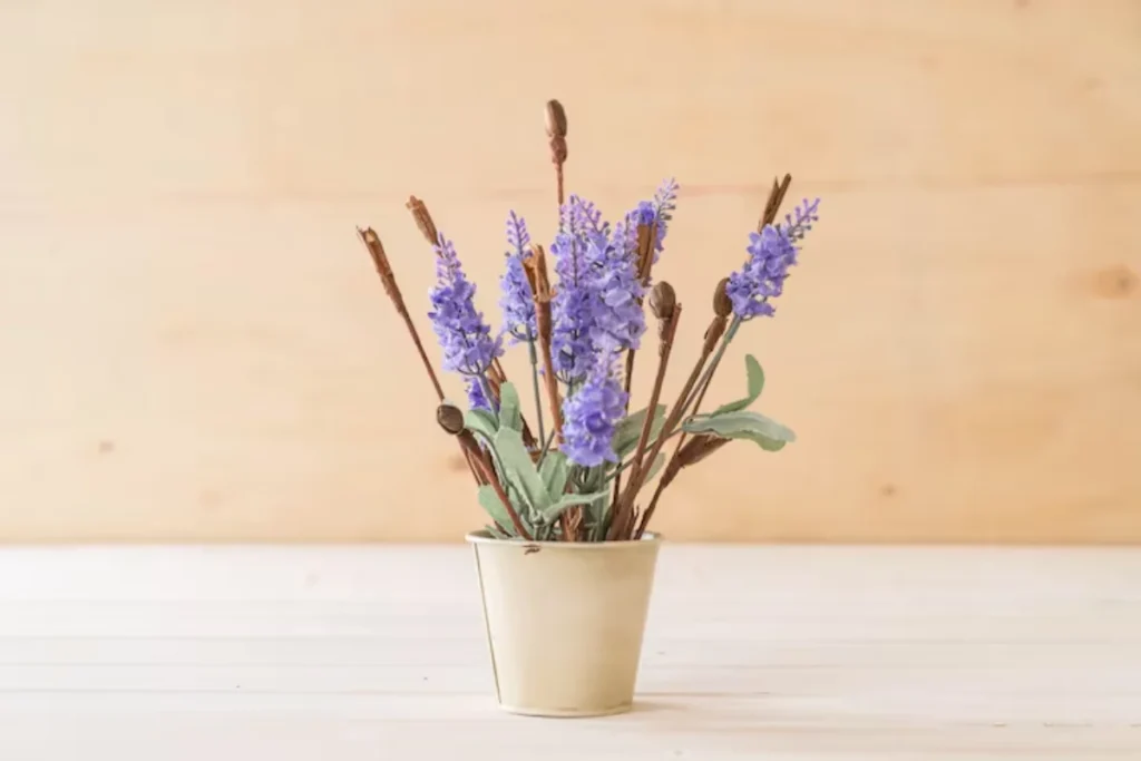 14 Flores para quarto de casal: Lista detalhada e completa 5 Lavanda no vaso