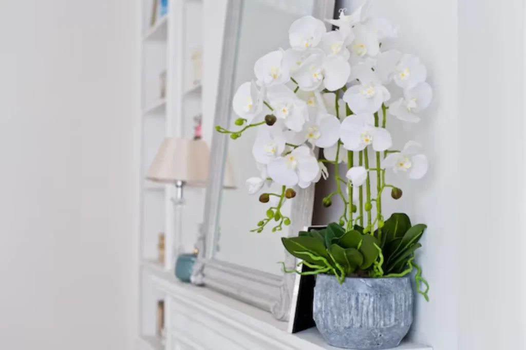 14 Flores para quarto de casal: Lista detalhada e completa 6 Orquídea Branca no vaso