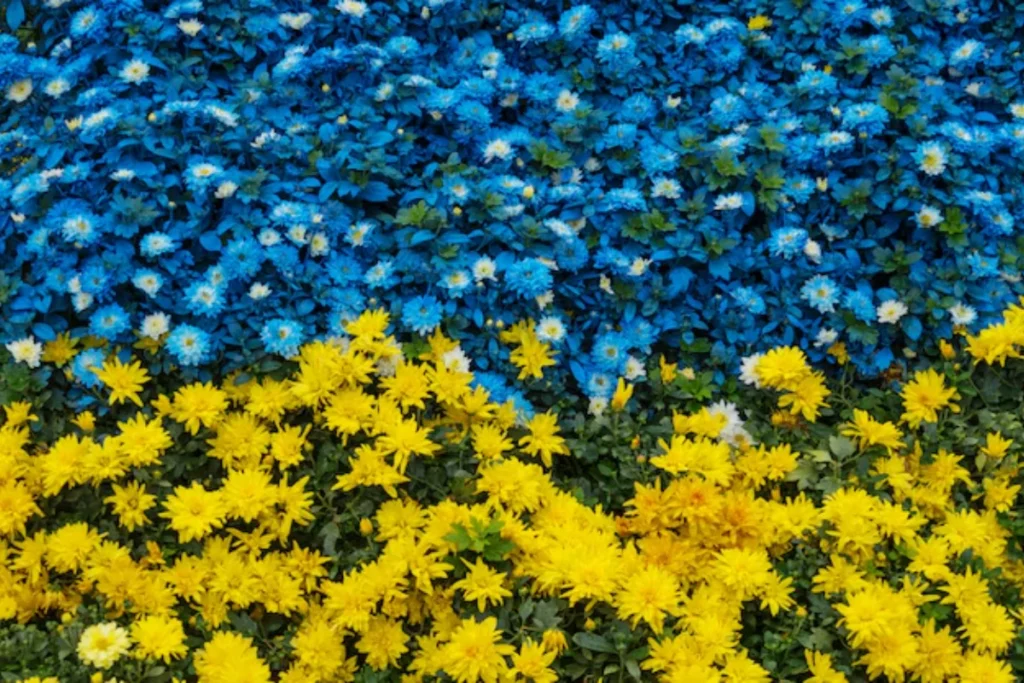 11 flores azuis naturais: Nomes, fotos, cuidados e significados 16 flores azuis e amarelas naturais