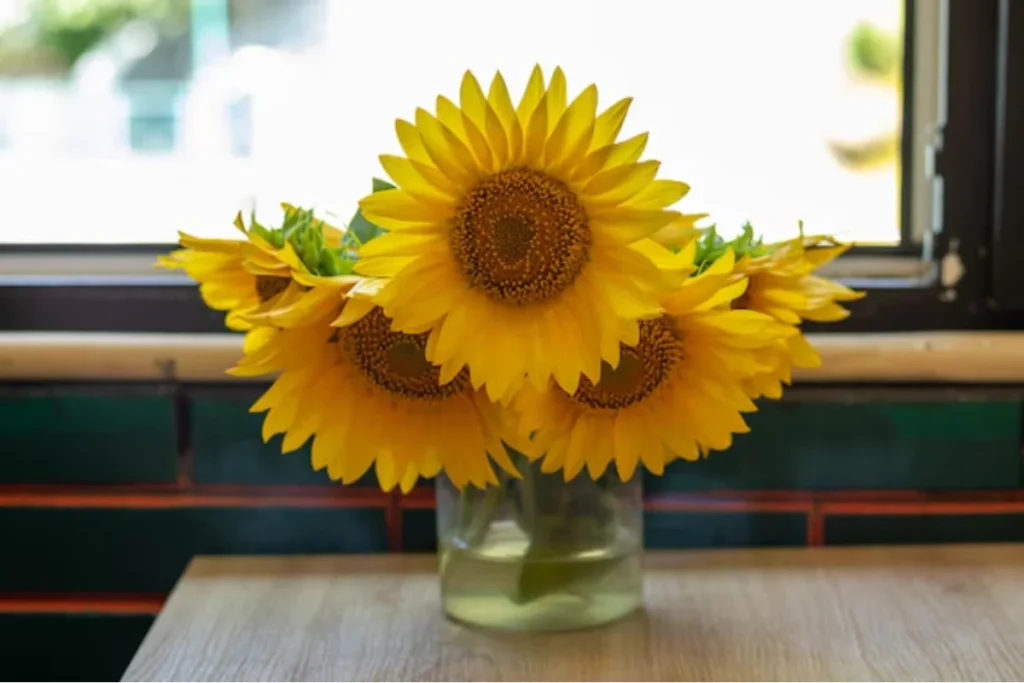 13 flores para decoração: Dicas e fotos 8 flores girassol para decoração