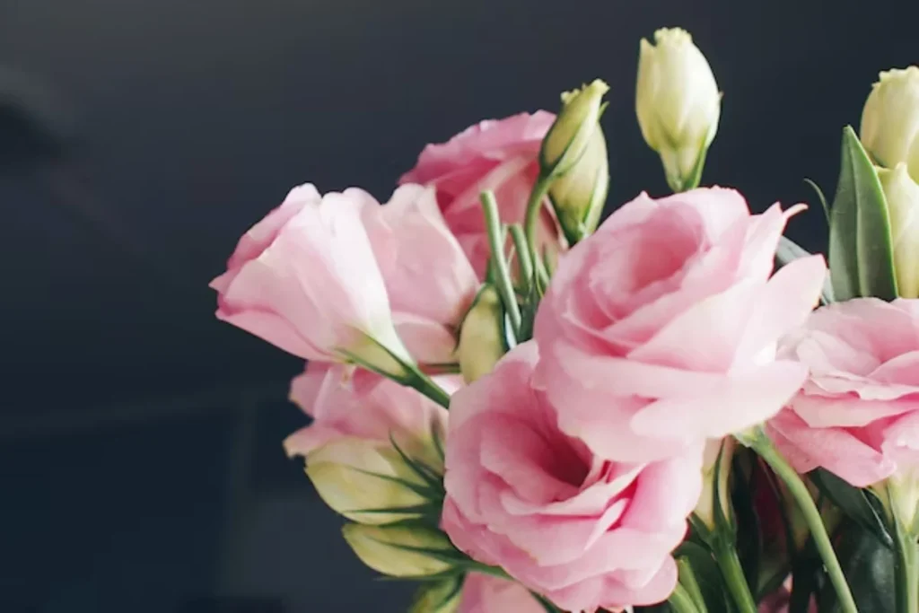 13 flores para decoração: Dicas e fotos 14 flores Lisianthus para decoração