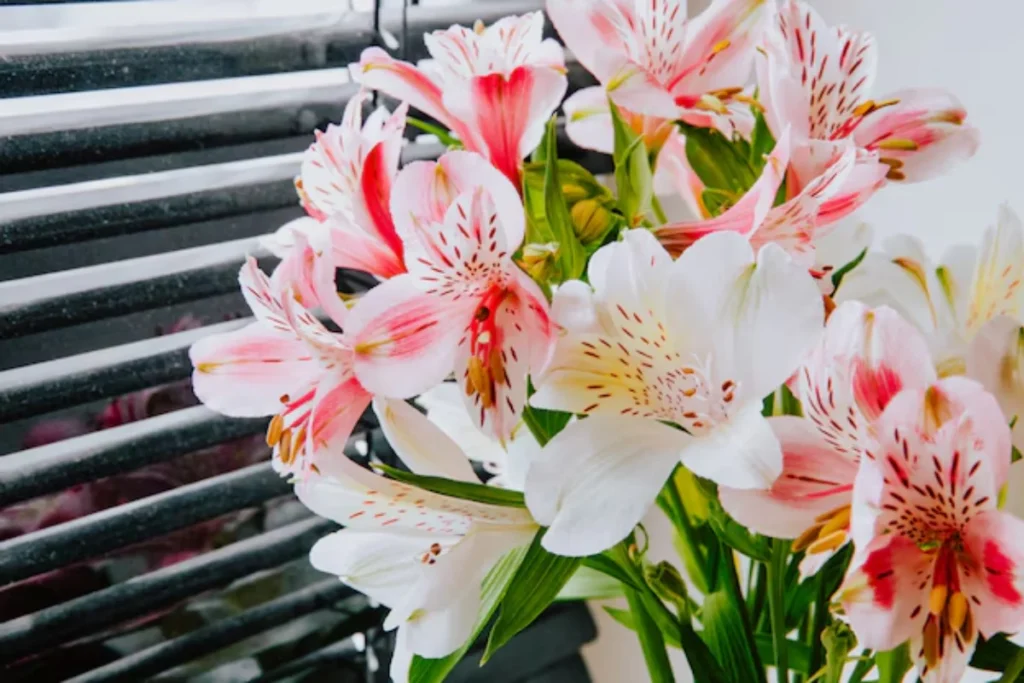 13 flores para decoração: Dicas e fotos 16 flores alstroemeria para decoração