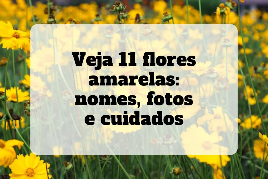 flores amarelas
