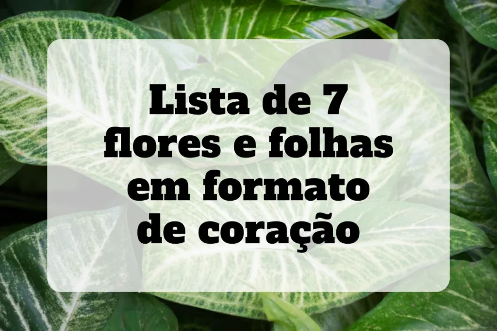 flores e folhas em formato de coração