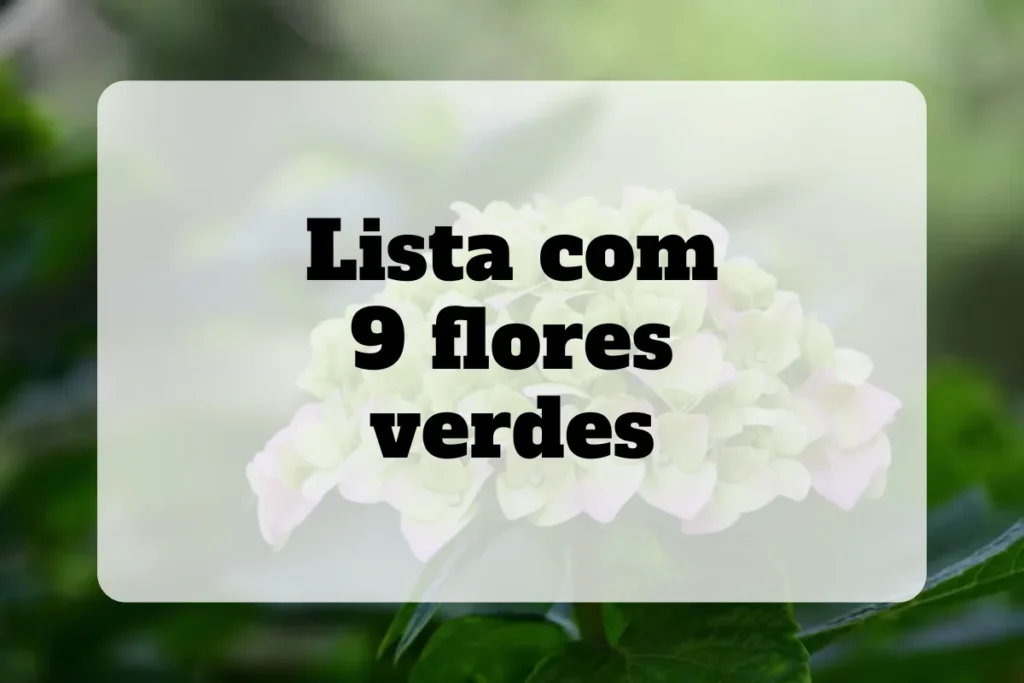 Lista de 9 flores verdes