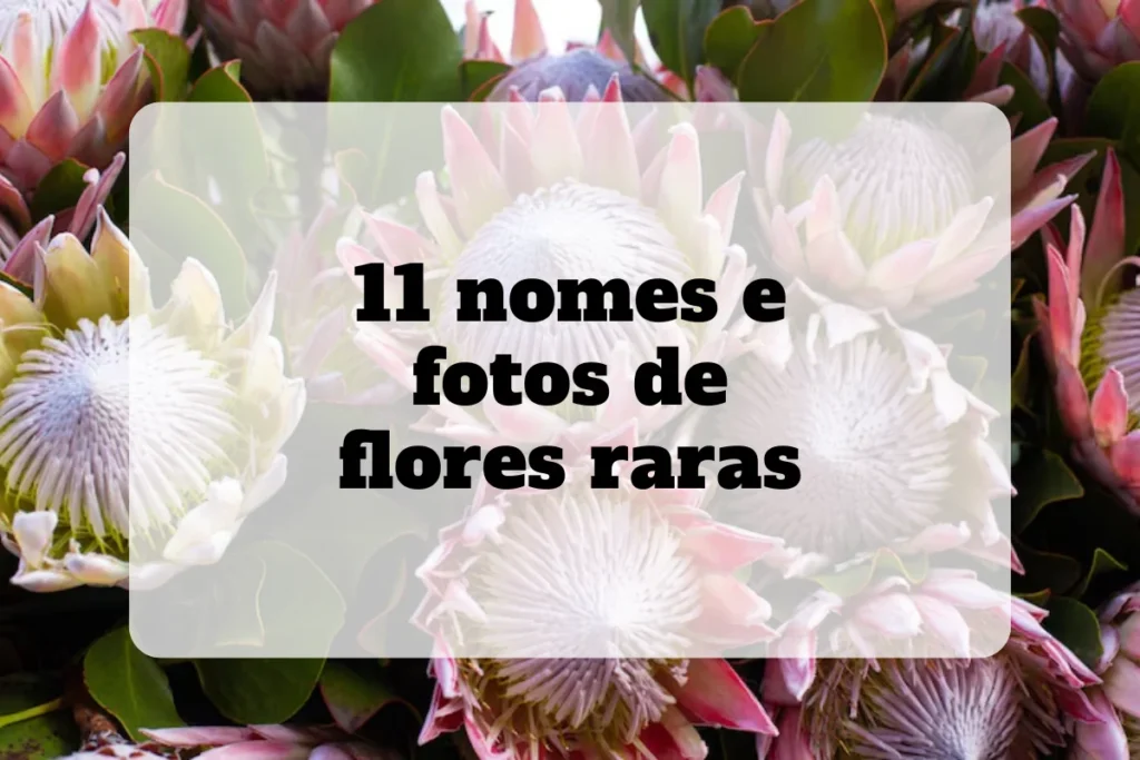 11 nomes e fotos de flores raras