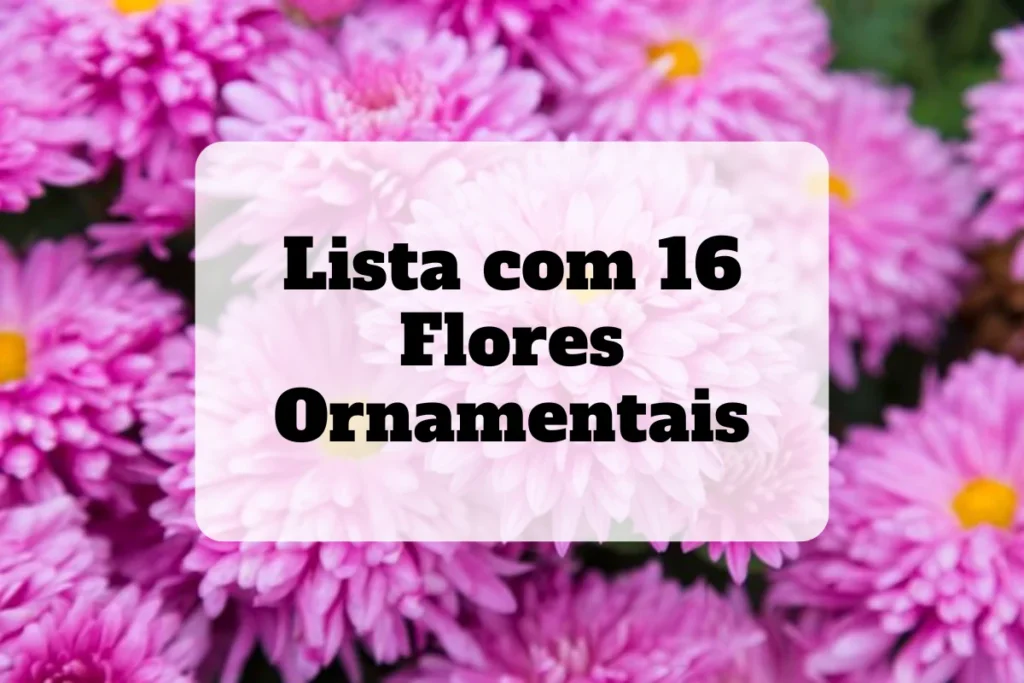 Lista com 16 flores ornamentais