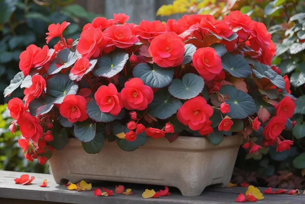 flores ornamentais em vaso