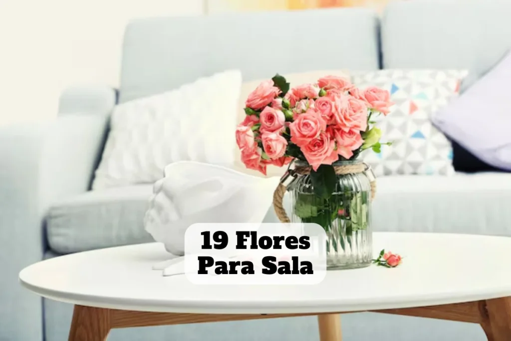 flores na sala