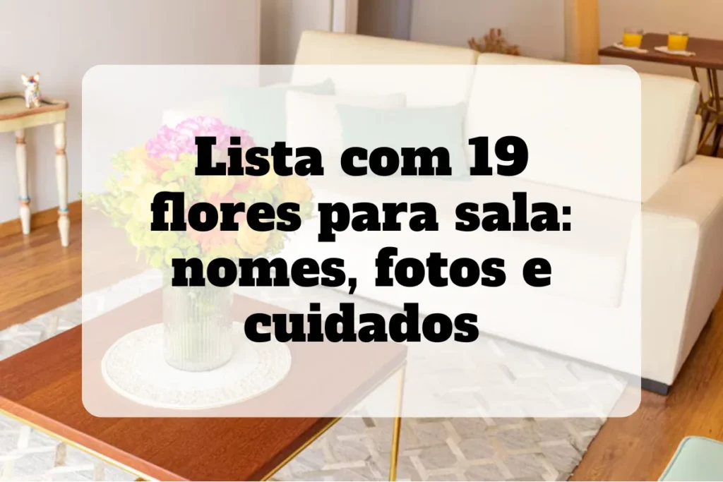 Lista com as 19 flores para sala