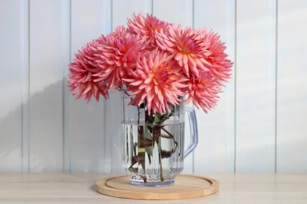 Flor Dálias na Decoração