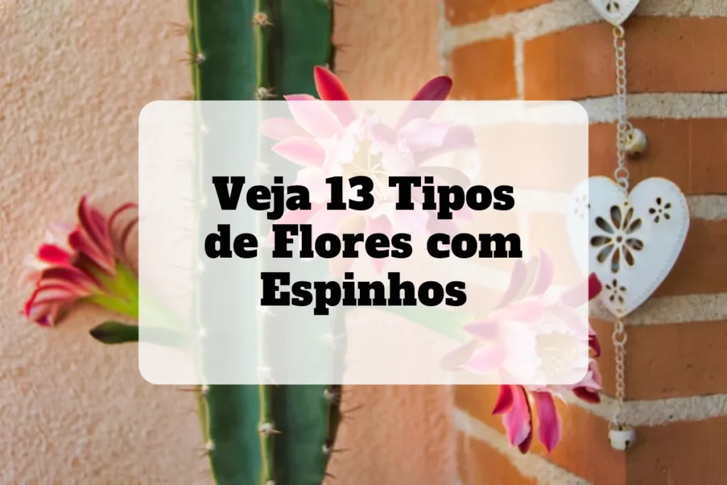 Veja 13 tipos de flores com espinhos