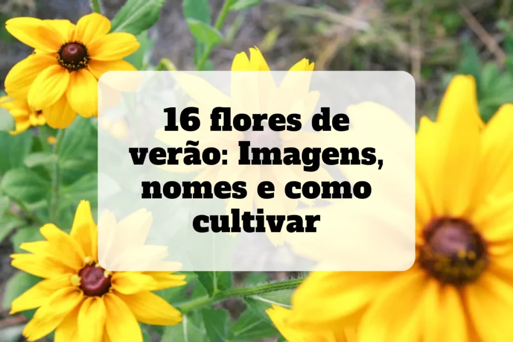 16 flores de verão