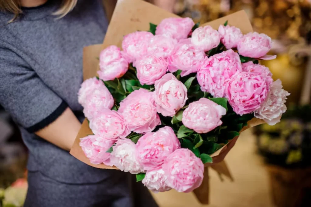 Peônias (Paeonia spp.)