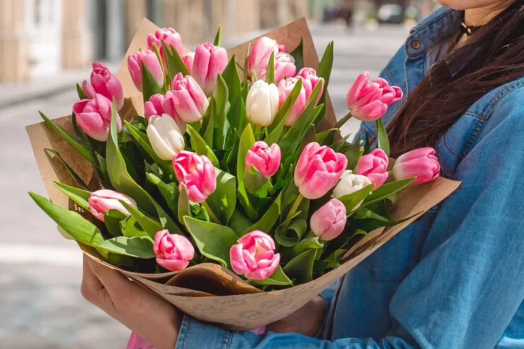 Tulipas (Tulipa spp.)