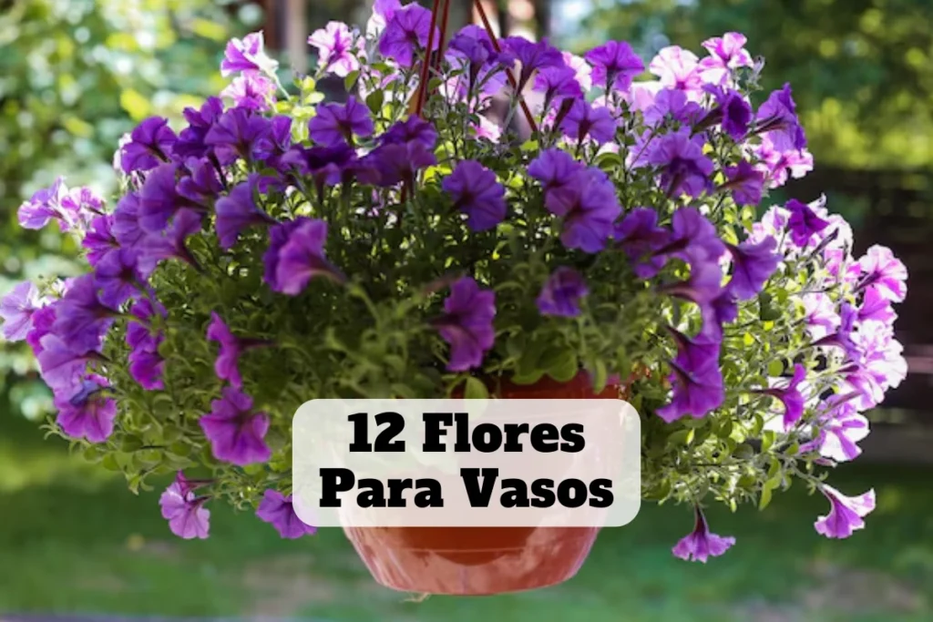 flores para vasos