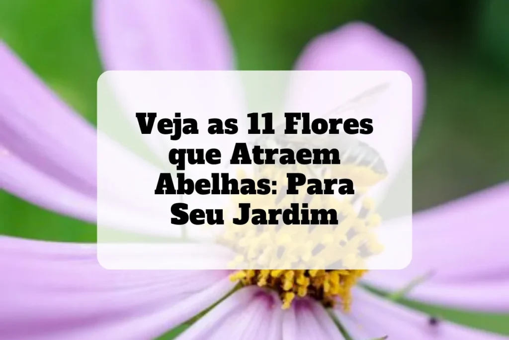 11 flores que atraem abelhas