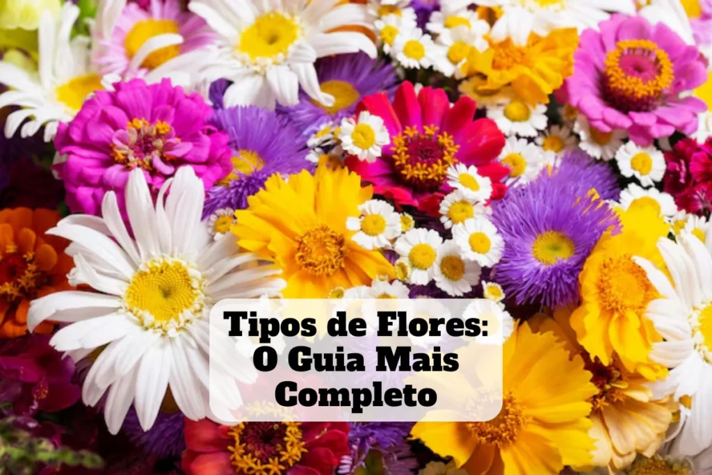 Tipos de flores