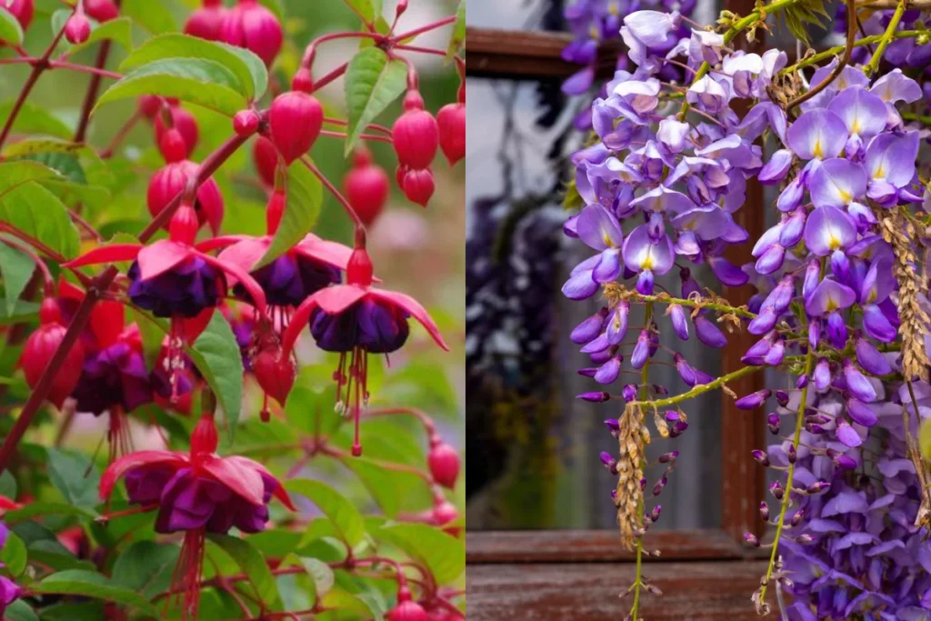 Tipos de Flores Pendentes