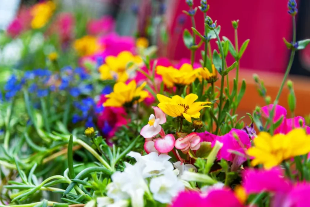Jardim com varios tipos de flores