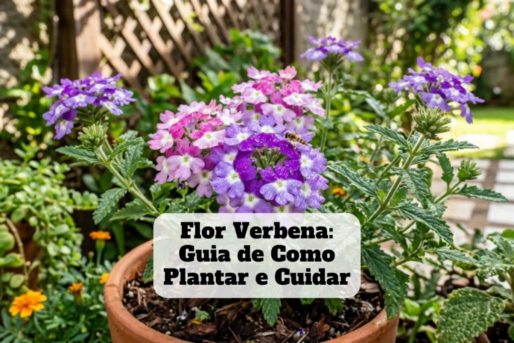 Guia de cuidados e plantio da flor verbena