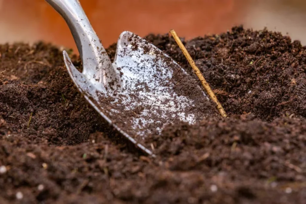 Preparação do solo para plantar