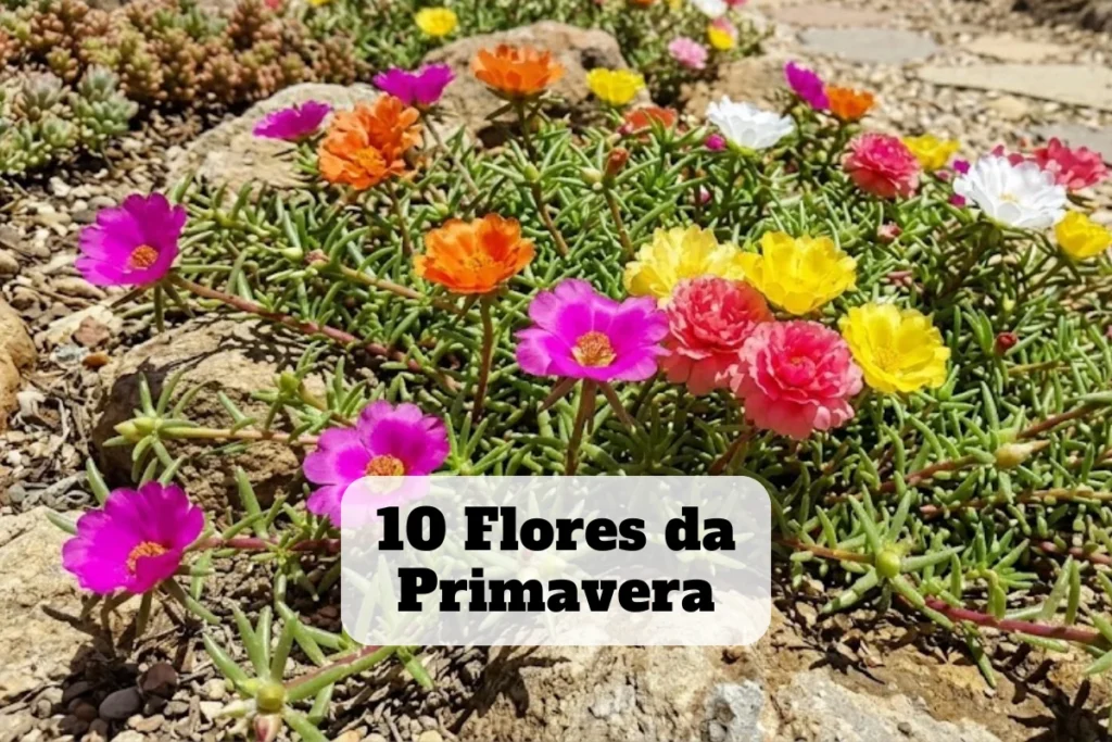 10 flores da primavera